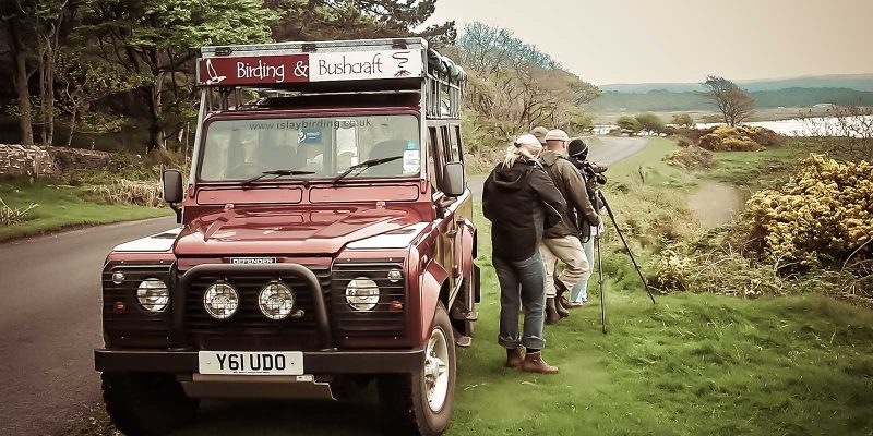 Islay Birding